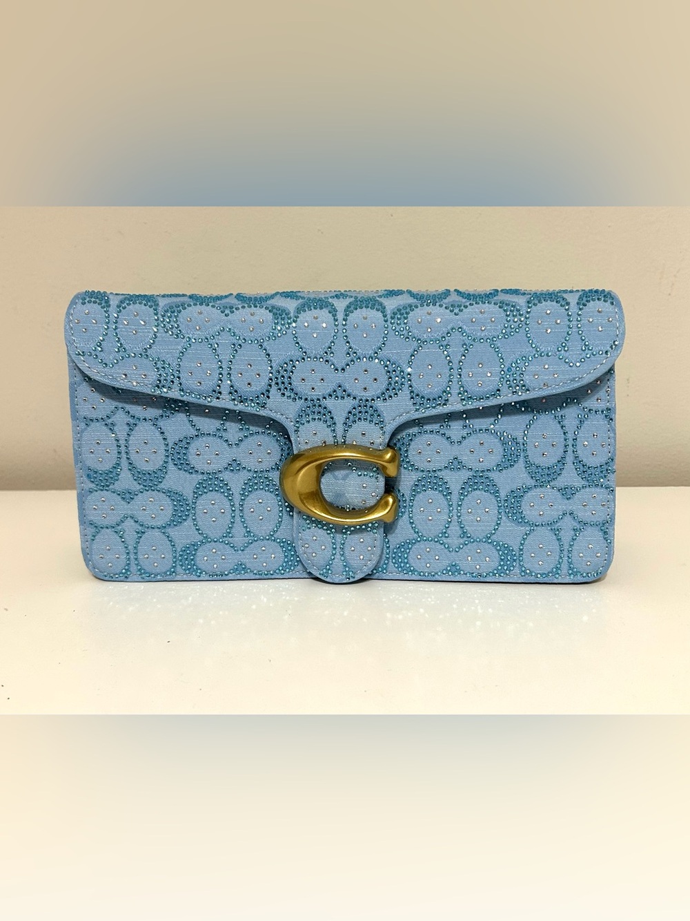 Canvas Studded Dress bag or clutch